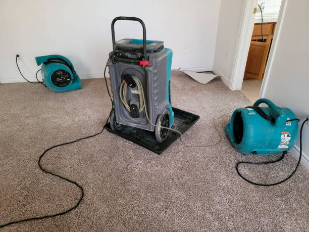 Best Professional water damage repair  in Kingsville, MD