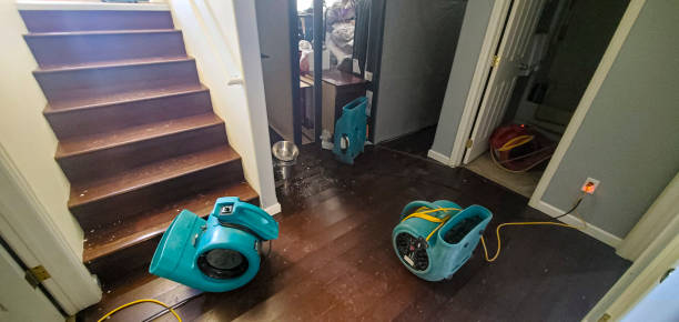 Best Sewage cleanup and water damage restoration  in Kingsville, MD