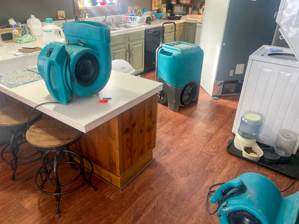 Best 24-hour water damage restoration  in Kingsville, MD