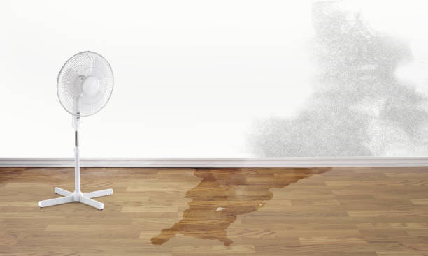 Best Flood damage cleanup  in Kingsville, MD