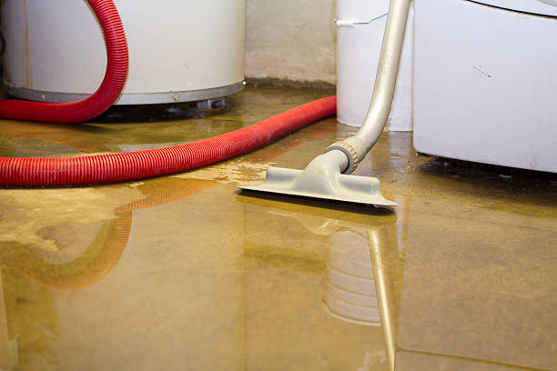 Best Residential water damage restoration  in Kingsville, MD