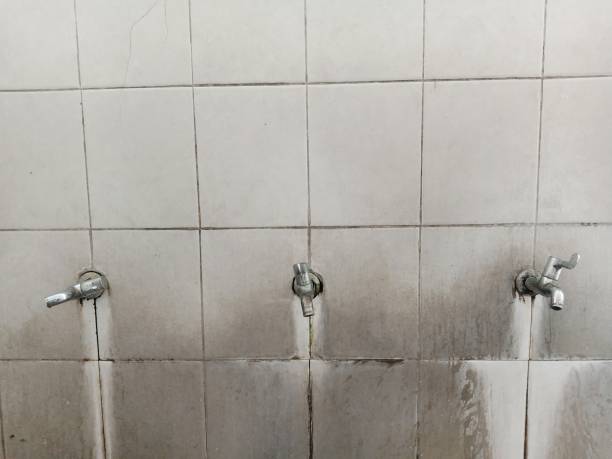 Best Local water damage restoration  in Kingsville, MD