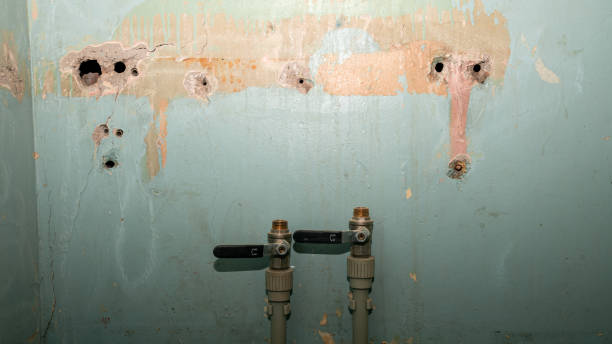 Best 24/7 water damage repair  in Kingsville, MD