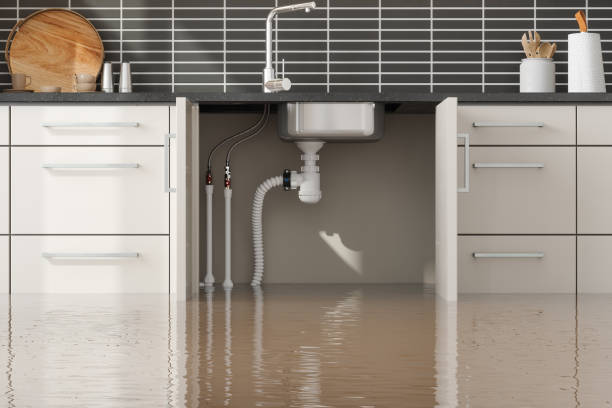 Best Flood restoration services  in Kingsville, MD