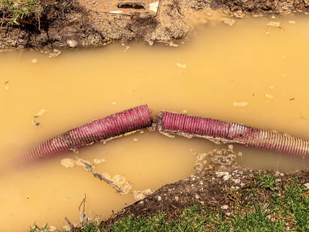 Carpet water damage restoration in MD